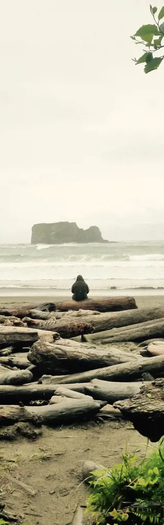 Seattle und der Pazifische Nordwesten: für Outdoorfreaks und Grossstadthungrige